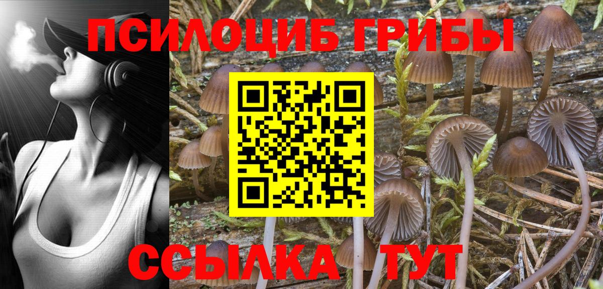 Псилоцибиновые грибы Psilocybe  Вход с VPN  Мурино  Псилоцибиновые грибы ЛСД 