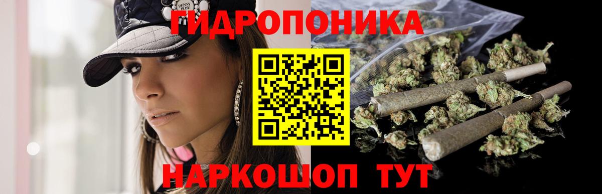 Конопля White Widow  Канабис сатива  Мурино  Канабис семена  Вход с VPN 